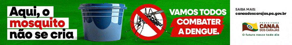 PMCC - COMBATE A DENGUE - TOPO - 