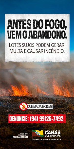 PMCC- QUEIMADAS É CRIME - ARRANHA CEU
