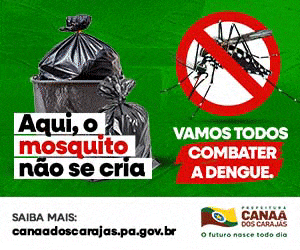 PMCC - COMBATE A DENGUE - RETANGULO MÉDIO - 02