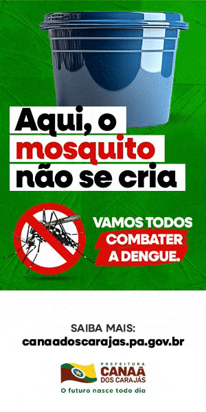 PMCC - COMBATE A DENGUE - ARRANHA CÉU