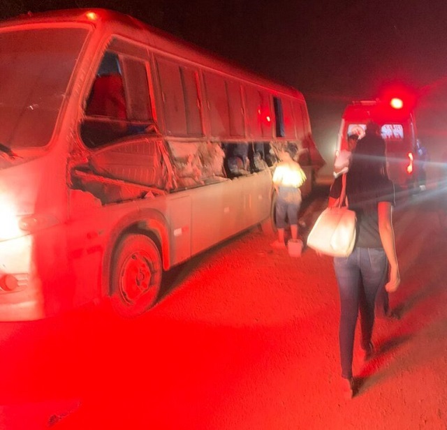 Micro-ônibus com estudantes colide contra caminhão
