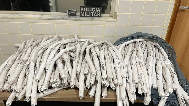 Polícia apreende 142 bananas de dinamites em Canaã
