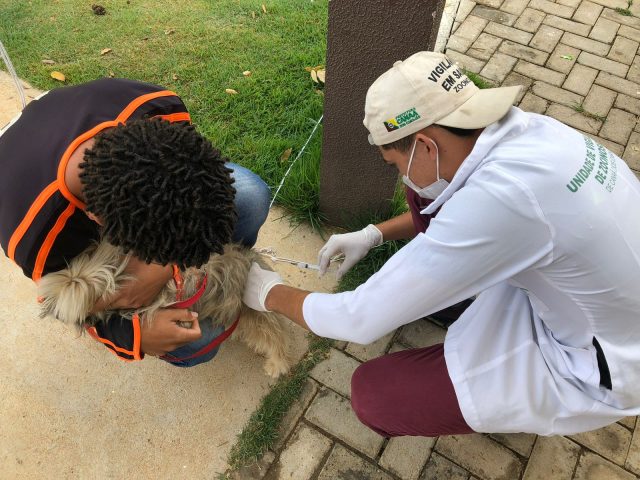 Campanha de vacinação antirrábica segue em Canaã dos Carajás; dia “D da vacinação” será neste sábado (14)