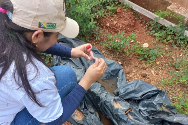 Canaã dos Carajás intensifica ações de combate à dengue