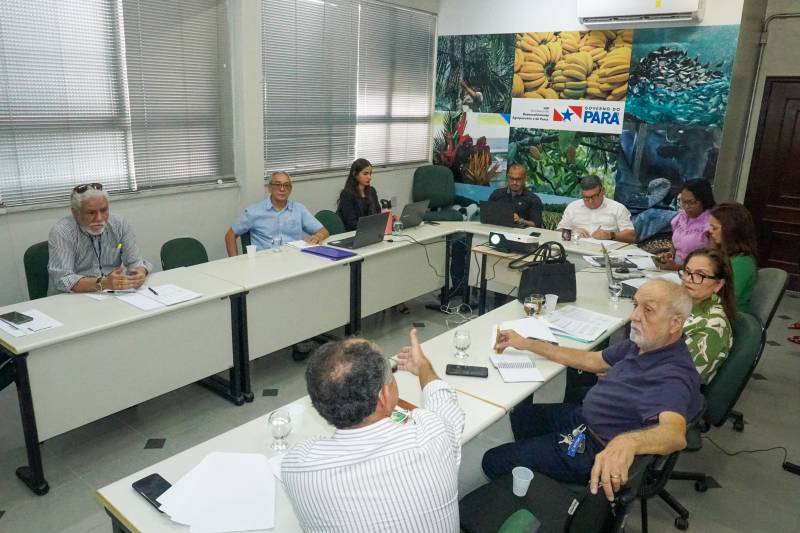 Sedap capacitará cacauicultores do Estado para melhorar qualidade das amêndoas