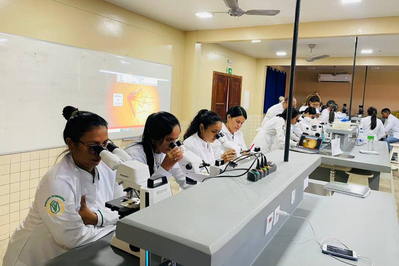 Programa Forma Pará garante ensino superior nos 144 municípios paraenses