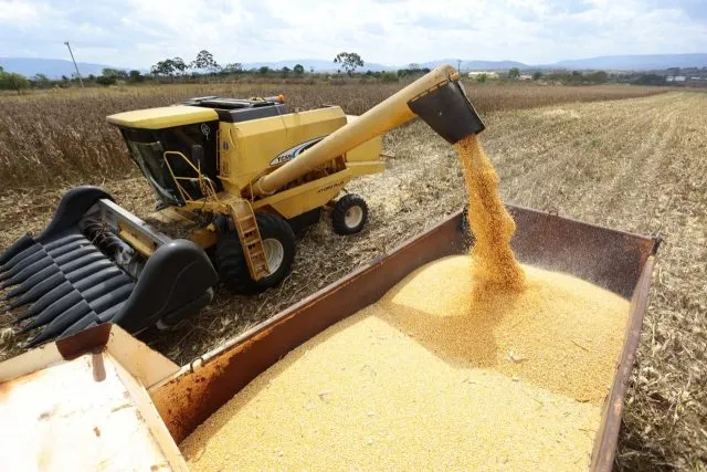  Inscrições para o Procampo começam no próximo dia 9 de maio