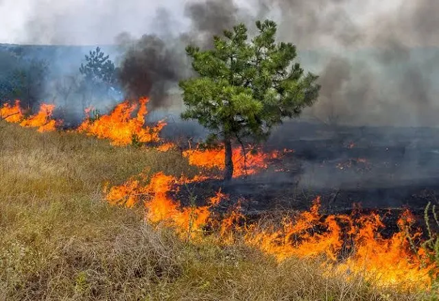 Canaã dos Carajás une forças para proteger o Meio Ambiente