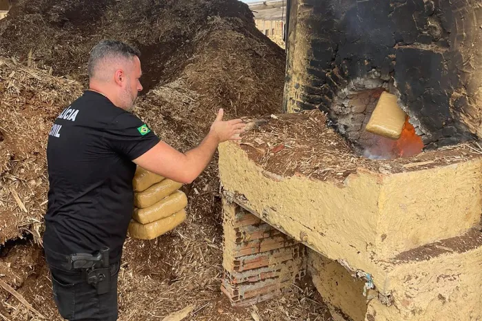 Polícia Civil incinera 93 quilos de maconha, em Brejo Grande do Araguaia