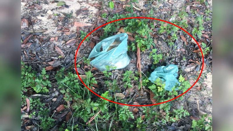 Apenas perícia poderá confirmar se restos mortais encontrado são do menino