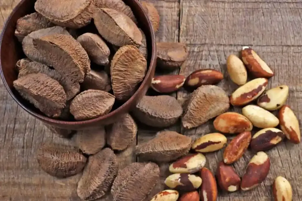 Faz mal comer muita castanha-do-pará? Veja quantidade ideal