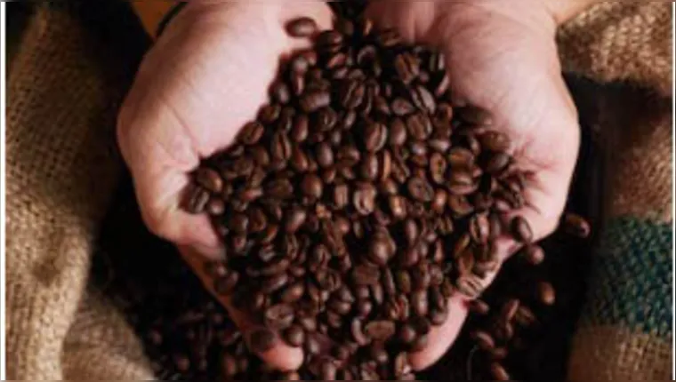 Preço do café vai continuar subindo; entenda os motivos
