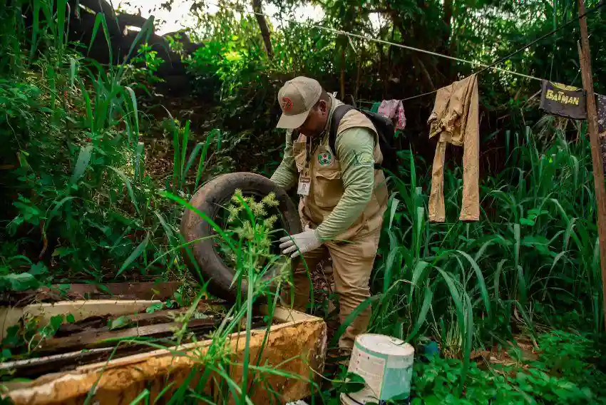 Parauapebas segue firme no combate ao mosquito Aedes aegypti