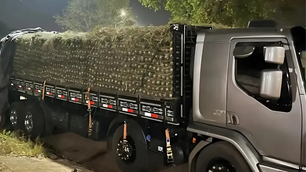 O suspeito dirigia um caminhão carregado com aproximadamente 496 kg de substâncias análogas à pasta-base de cocaína e cloridrato de cocaína | Divulgação