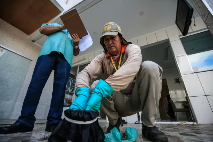 Período de calor intenso exige atenção redobrada para evitar arboviroses