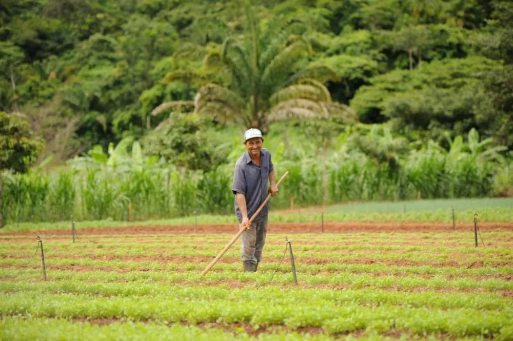 Prefeitura de Canaã dos Carajás abre seleção para entidades comporem o Conselho Municipal de Desenvolvimento Rural