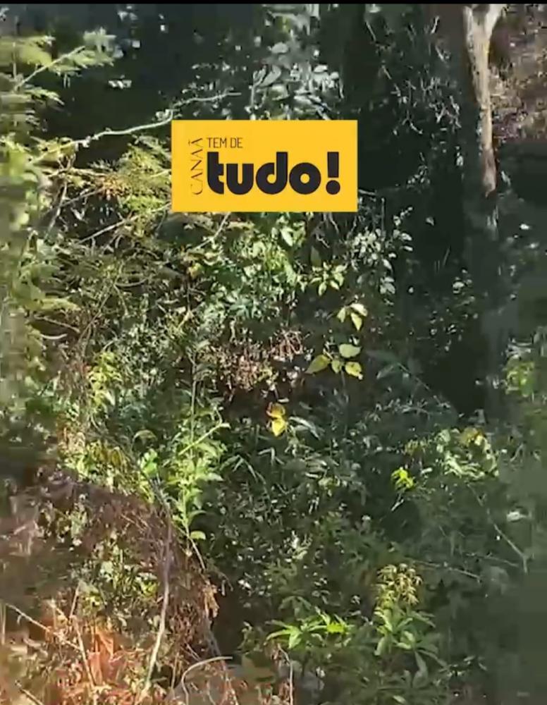 Exclusivo! Corpo de mulher é encontrado enrolado em uma lona na VS 40, zona rural de Canaã