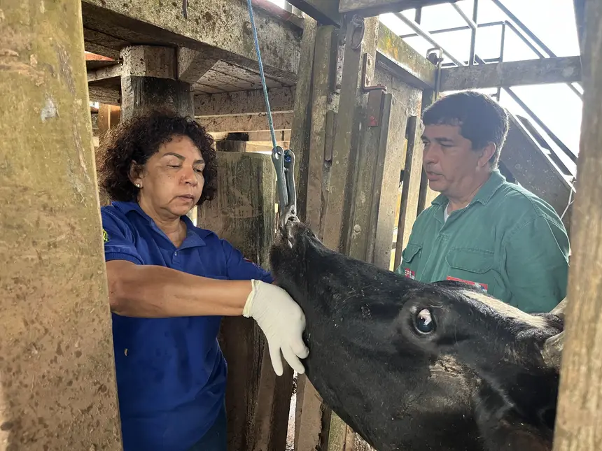 PSS da Adepará abre inscrições nesta segunda-feira (18) até quarta-feira (20)