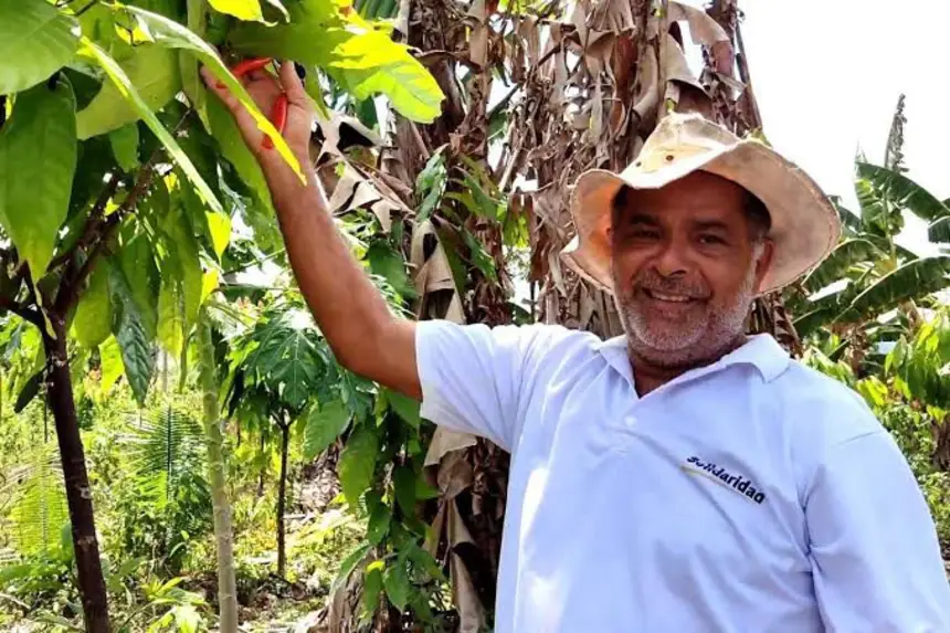 Chocolates fabricados com amêndoas produzidas no Pará ganham ouro, prata e bronze em concurso nacional