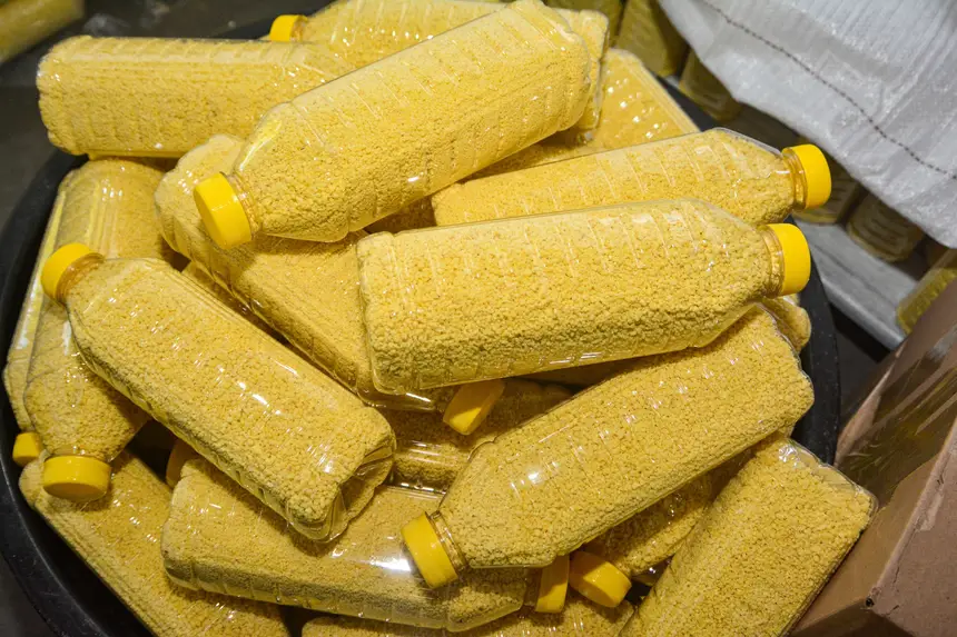 Adepará orienta sobre consumo de produtos inspecionados do almoço do Círio