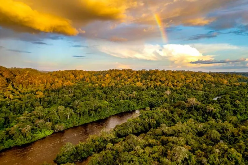 Pará tem maior redução de desmatamento da Amazônia Legal em 2025