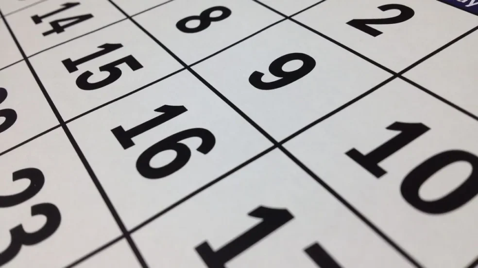 Próximo feriado de novembro: veja quem poderá emendar