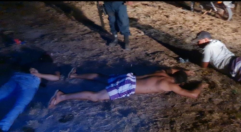 Cinco homens são presos tentando furtar 40 cabeças de gado