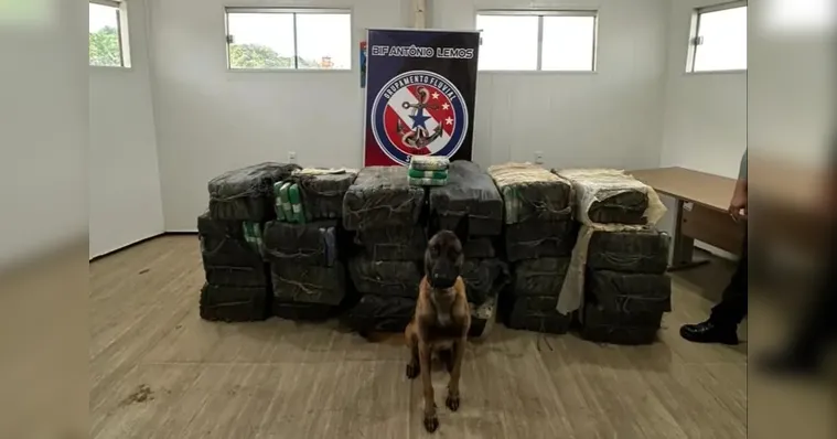 Pará atinge marca de 16 toneladas de drogas apreendidas em 2025