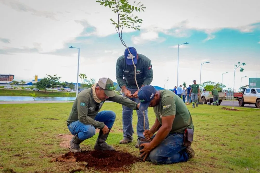 Município acelera plantio e transforma meta ambiental em realidade