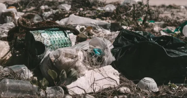 Governo do Pará recorre ao STJ para suspender audiência sobre a CTR Metropolitana | Reprodução/Freepik