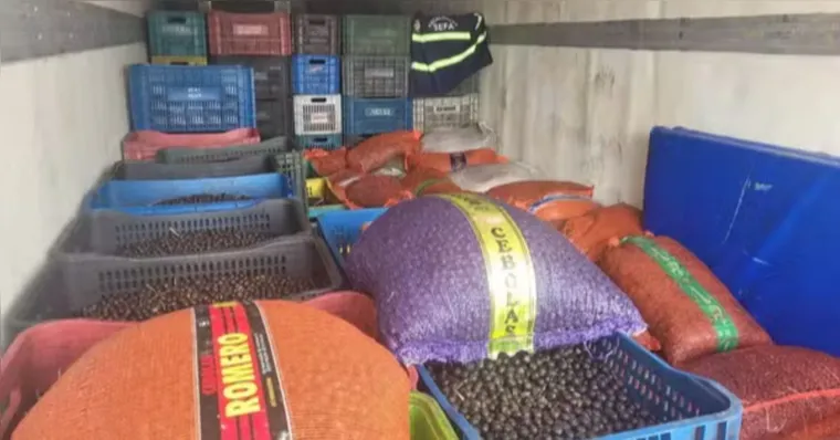 Cerca de 43 toneladas de açai apreendidos | Divulgação/Sefa-PA