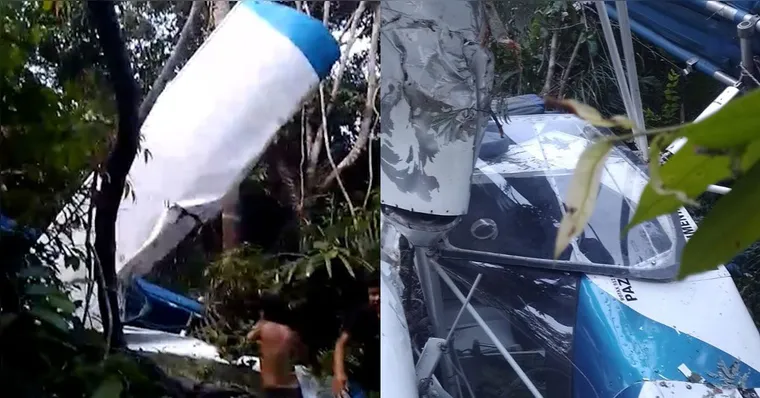 O avião de pequeno porte caiu em uma área de mata em Santarém. | Reprodução
