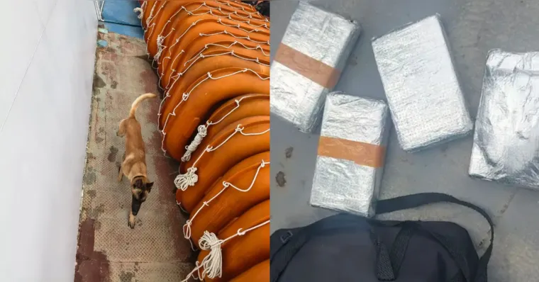 Cão farejador encontra quase 5kg de cocaína em barco no Pará