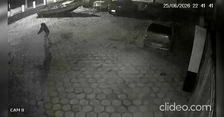 Delegado luta com homem invadiu delegacia para resgatar presa
