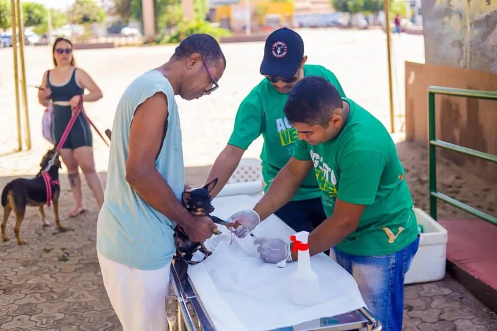 Prefeitura de Canaã dos Carajás oferece testes rápidos de leishmaniose em cães