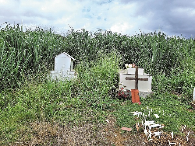 Cemitério de Parauapebas está coberto pelo mato